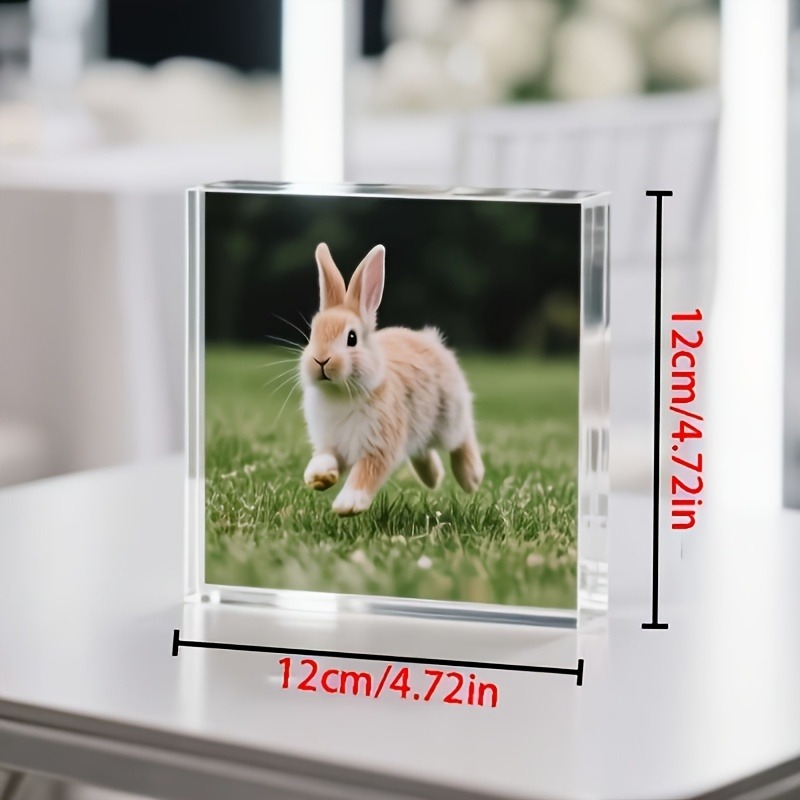 1PC Custom Photo   Acrylic Per - Photo Acrylic Block recensie en prijs