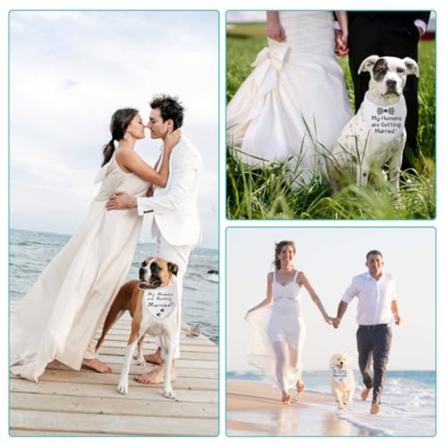 Blank Dog Bandanas Large-1PCS, - Bandana Blank White recensie en prijs